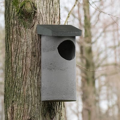 CJ Wildlife Nestkast voor Bosuil, Kauwen & Holenduiven - Woodstone Nestkastje - Vogelhuisje - FSC-gecertificeerd - Grijs