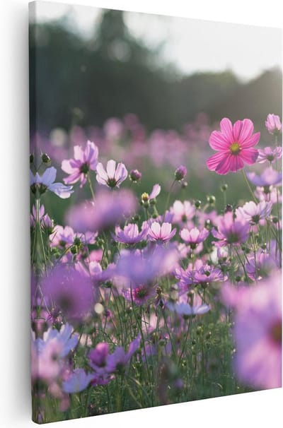 Artaza Canvas Schilderij Cosmea Bloemen - 40x50 cm - Muurdecoratie Bloemenveld - Schilderijen Op Canvas Natuur - Roze
