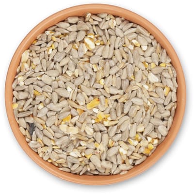CJ Wildlife 2.5kg Green+ Puur Biologisch Strooivoer - Vogelvoer voor Buitenvogels - Eiwit- & Vetrijk - 100% Biologisch Tuinvogelvoer