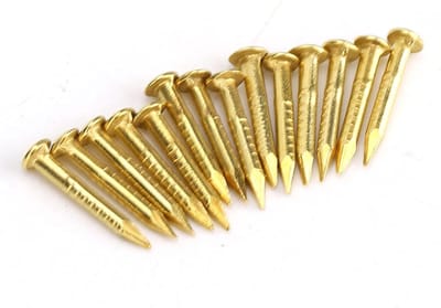Set van 100 Messing Spijkers voor Bevestigen van Foto's, Meubels en Houten Deuren - 10mm Lang, Ronde Kop, Ideaal voor Klusprojecten en Hinge Accessoires