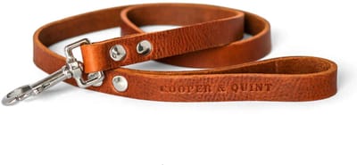 Cooper & Quint No Fuss Hondenriem - Bruin - Smal - 140cm - Zilver