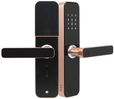 Dailygoody - Keyless Entry Smart Door Lock - Biometrische Vingerafdruk - Veilig Deurslot voor Voordeur - Aluminium - Slimme Toegang - Geschikt voor Wo