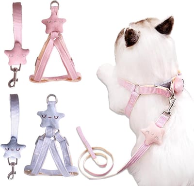 Set van 2 kattenharnassen en lijnen, schattige stervormige ontsnappingsbestendige harnassen voor kittens, puppy's en konijnen, ideaal voor wandelen en training