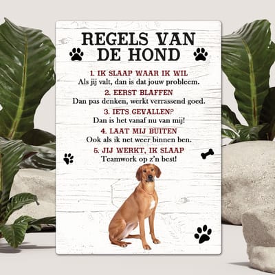 Spreuken - Rhodesian Ridgeback - Regels Van De Hond - Spreuken Bordjes - Spreukenbord - Tekstborden - Cadeau - Hondenras