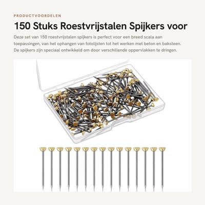 Dailygoods- Spijkers 150 Stuks - Roestvrijstalen Spijkers - Wandnagels - Fotolijsten - Opbergdoos - 25 mm Lengte - Betonnagels