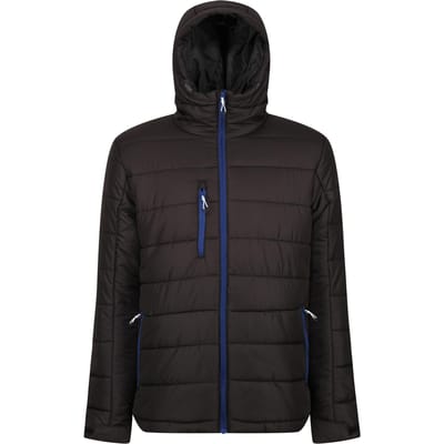 Regatta Thermisch gewatteerd jack voor heren (Zwart/Nieuw Royal)