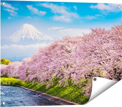 Gards Tuinposter Roze Bloesembomen bij de Fuji Berg - 80x60 cm - Tuindoek - Tuindecoratie - Wanddecoratie buiten - Tuinschilderij