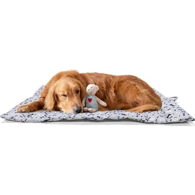 Tapis pour Animaux de Compagnie pour le Sol Coussinets Universels Imperméables pour Chiens et Chats Tapis de Canapé Coussinets d'Entraînement pour Animaux de Compagnie gris
