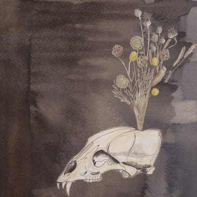 Steve Gunn & Black Twig Pickers - Seasonal Hire (LP) (Coloured Vinyl) (Limited Edition)