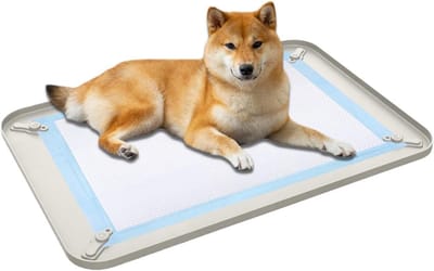Hondenpotje - Puppy toilet - Zindelijkheidstraining - Morsbestendige rand - 60 Cm - Grijs