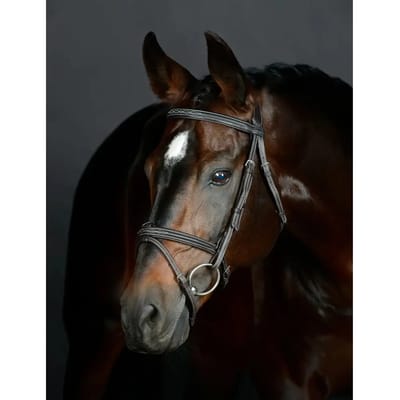 Gewatteerde hanoverse zadelsportteugel Collegiate Comfitec Opulux Fancy Stitch