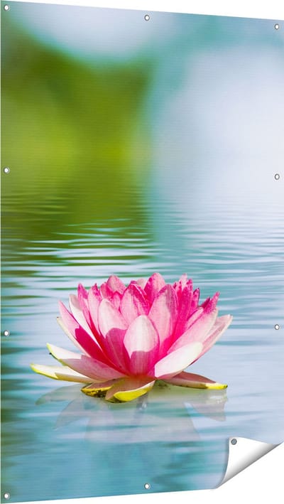 Gards Tuinposter Roze Lotusbloem op het Water - 100x150 cm - Tuindoek - Tuindecoratie - Wanddecoratie buiten - Tuinschilderij