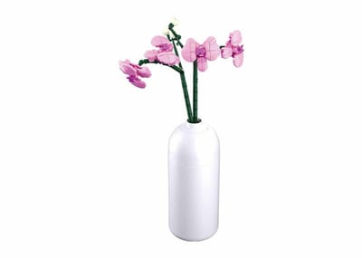 Sluban Orchidee bouwspeelgoed kinderen vanaf 12 jaar – constructiespeelgoed modelbouw – bouwdoos met 253 bouwstenen – M38-B1101-12