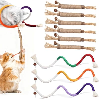 Katten Speelgoed Set - Knaagspeelgoed - Tandverzorging Kat - Combinatie Pakket - 6 Stuks - Multikleur