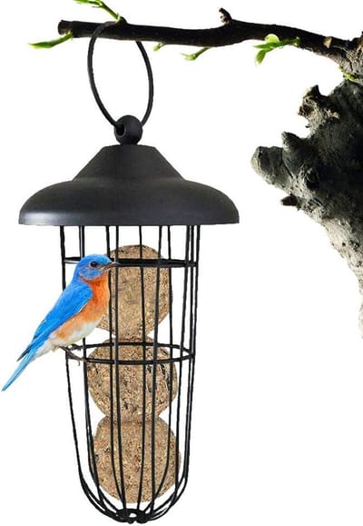 Vogelvoeder Hangende Vetbalhouder Ijzeren Vogelvoerdispenser - Duurzaam en Lichtgewicht - Zwart - Voor Buitengebruik .