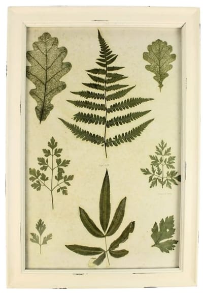 Lijstje hout wit Varen, 34x23,5cm