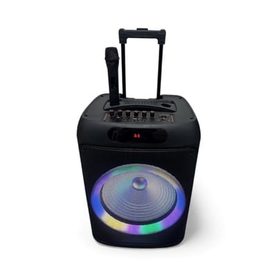 Mobiel geluidssysteem 600W (ingebouwde accu)