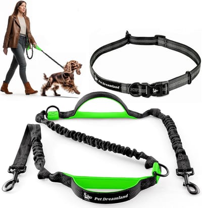 Handsfree Hondenriem voor Hardlopen, Fietsen en Wandelen - Verstelbare Bungee Loperij Voor Enkele of Dubbele Hond