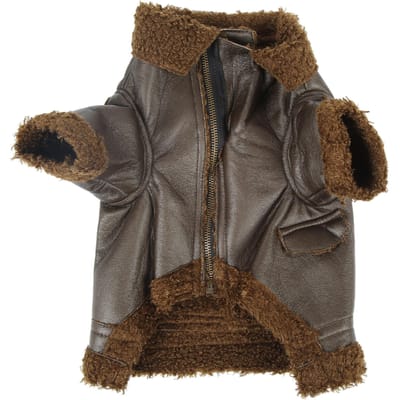 Hondenleren Jas Huisdier Winterleren Jas voor Kleine Middelgrote Grote Honden en KattenM S