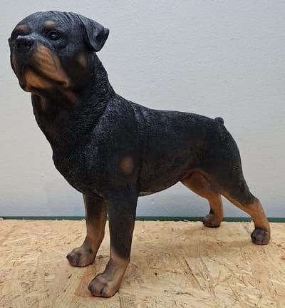 Realistisch Rottweiler Hondenbeeld - 40 cm Lang - Handgeschilderd Polystone - Binnen & Buiten