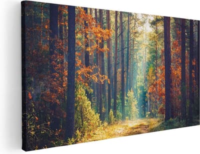 Artaza Canvas Schilderij Bos - 40x20 cm - Klein - Wanddecoratie Herfst - Muurdecoratie Landschap - Schilderijen Op Canvas Natuur