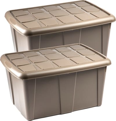 Plasticforte Opbergbox met deksel - 2x - Beige - 60L - kunststof - 63 x 46 x 32 cm