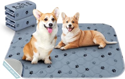 Wasbare Puppy Training Pads - Herbruikbare Honden- en Kattenmatten voor Incontinentie, 2 Stuks, Grijs, Voetafdrukken, Ideaal voor Puppy’s en Oudere Honden