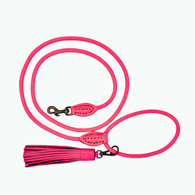 Classic Flamingo Hondenriem S (155 X 1 cm)