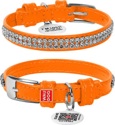 WAUDOG Glamour Halsband / Hondenhalsband - Echt Leder - Oranje met Strass steentjes - XXS - Breedte: 9 mm - Nekomtrek: 19 - 25 cm (GELIEVE ALVORENS BESTELLEN OPMETEN)
