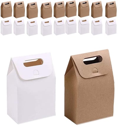 Dailygoods- Geschenkzakken 20 Stuks - Kraftpapier - Papieren Zakjes - Cadeauzakjes - Bruiloft/Feest - Milieuvriendelijk - 10 cm Grootte