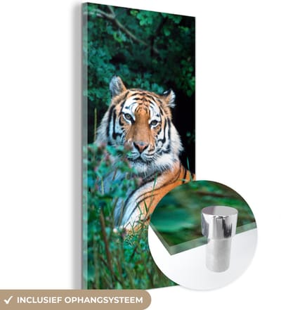 MuchoWow® Glasschilderij 20x40 cm - Schilderij acrylglas - Tijger - Gras - Groen - Foto op glas - Schilderijen