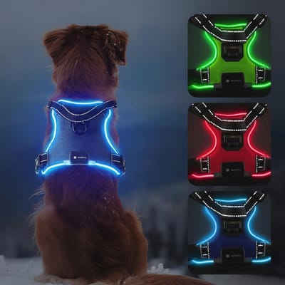 Lichtgevend hondenharnas - waterdicht, oplaadbaar - ideaal voor kleine tot grote honden, blauw, XL