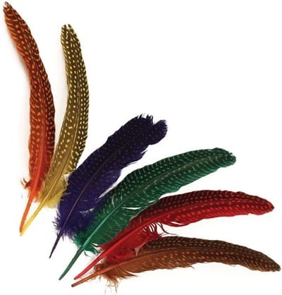 Rayher hobby sierveren met stippen - multi kleuren - 24x stuks - 17 tot 22 cm - veertjes
