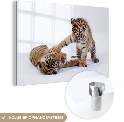MuchoWow® Glasschilderij 60x40 cm - Schilderij acrylglas - Tijger - Welp - Wit - Foto op glas - Schilderijen
