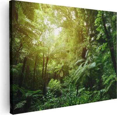 Artaza Canvas Schilderij Bos - 80x60 cm - Wanddecoratie Jungle - Muurdecoratie Woonkamer - Canvas Schilderijen Natuur