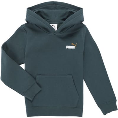 Capuchon sweaters Puma ESS 2 COLOR Small No. 1 Logo Hoodie FL