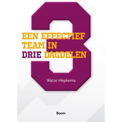 Een Effectief Team In Drie Dagdelen - Watze Hepkema