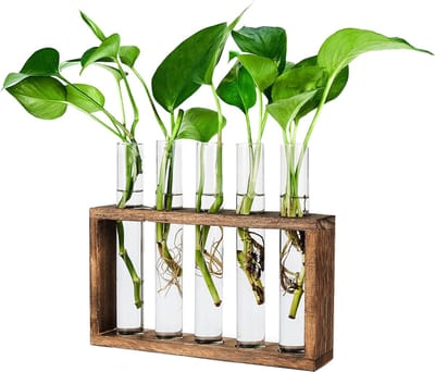 YUGN Stekstation met 5 Reageerbuisjes - Houten Plantenstekhouder - Inclusief Accessoires