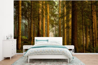 Behang - Fotobehang Bos - Natuur - Bomen - Landschap - Bladeren - Breedte 350 cm x hoogte 260 cm