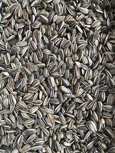 Heinrichs Agrar Zonnebloempitten gestreept, vogelvoer, 25 kg