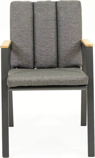 Stapelstoel Kunststof Leather Fauteuil Antraciet