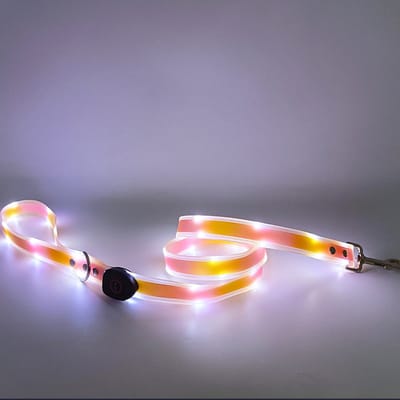 Lichtgevende halsband-nachtzicht-verloren voorkomen-hondentuig-hoog helderheid-hondenriem-huisdieraccessoire—Roze-oranje hondenriem