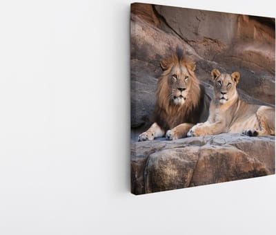 Saammp Canvas Schilderij - Leeuw en Leeuwin op Rotsen - Dieren - Natuur - 20x20 - Foto op canvas - Wanddecoratie - Muurdecoratie Woonkamer - Slaapkamer decoratie - Canvas Print