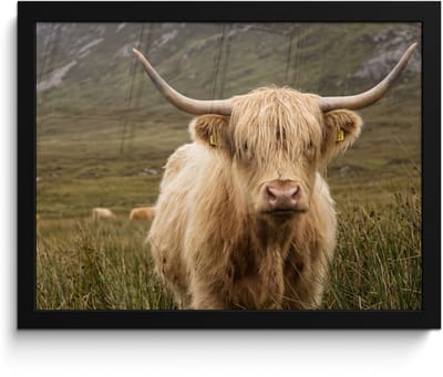 Poster in lijst - Fotolijst 40x30 cm - Posters - Schotse hooglander - Bergen - Grasveld - Posterlijst zwart - Decoratie - Wanddecoratie woonkamer - Muurdecoratie slaapkamer