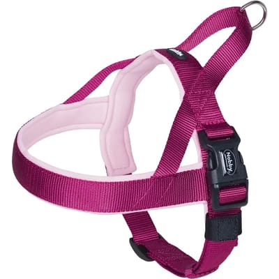 Noors tuig voor honden Nobby Pet Classic Preno