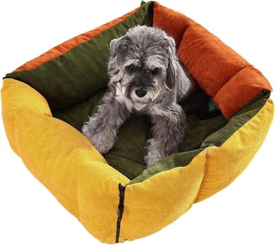 Autostoeltje Huisdieren - Reismand Hond - Veilig Reizen - Geïntegreerd Veiligheidssysteem - 50x44x41 cm - Enkele Attribuut