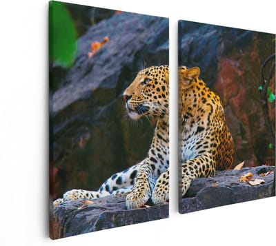 Artaza Canvas Schilderij Tweeluik Luipaard Op De Rotsen - 80x60 - Foto Op Canvas - Canvas Print