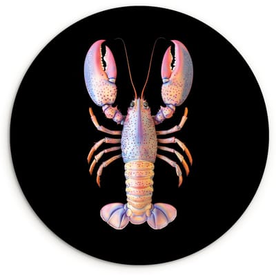 WallCircle® Wandcirkel 120x120 cm - Muurcirkel Kreeft - Roze - Zacht - Zwart - Muurdecoratie woonkamer - Wanddecoratie slaapkamer - Kamer decoratie accessoires - Ronde schilderijen XXL