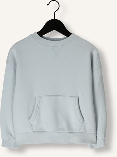 JENEST Bo Sweater Truien & Vesten Jongens - Sweater - Hoodie - Vest- Lichtblauw - Maat 98/104