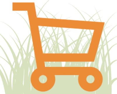 Plants Online - Tuinplanten - Siergrassen - Vingergras ‘Heiliger Hain’ - Pot 20-25 cm - set van 10 - Bladverliezend - Bloeiende plant - Weinig onderhoud - Zeer winterhard